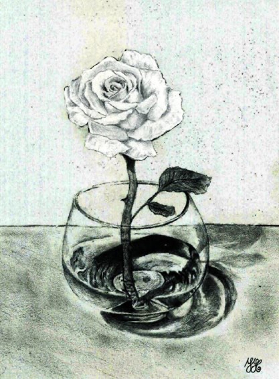 A study of the refraction of light in water.