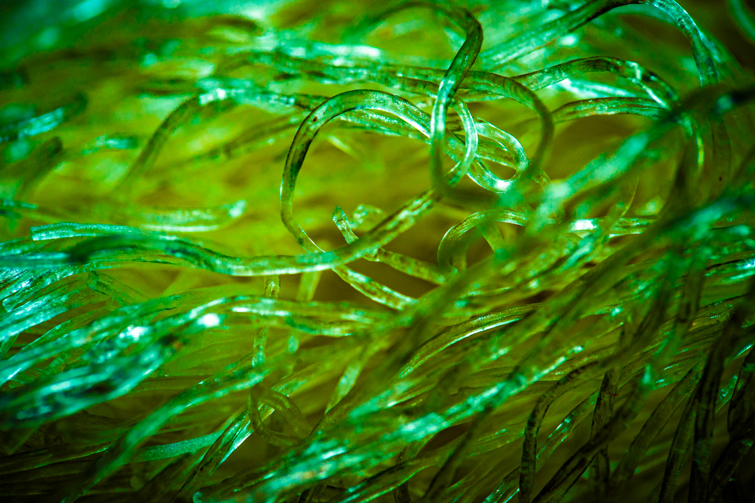 Wo bleibt das Leben?