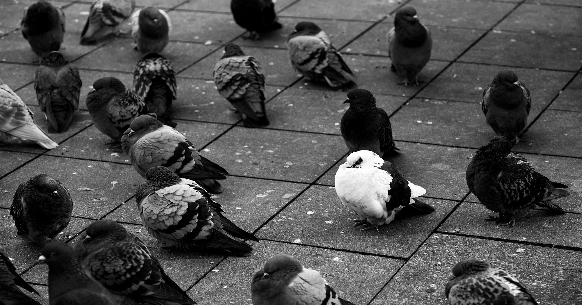 Mitten in der Menge.