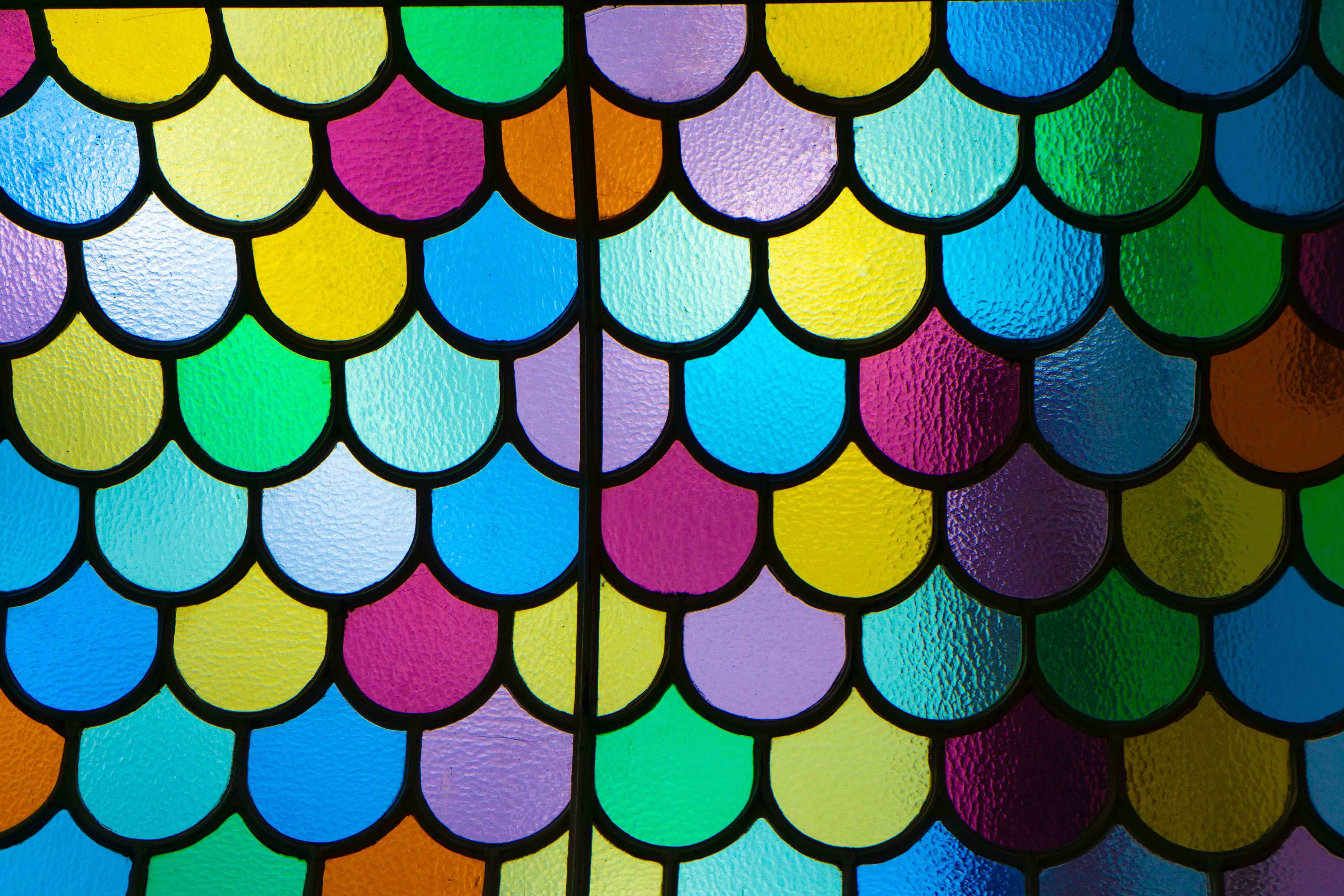 The world is colorful.