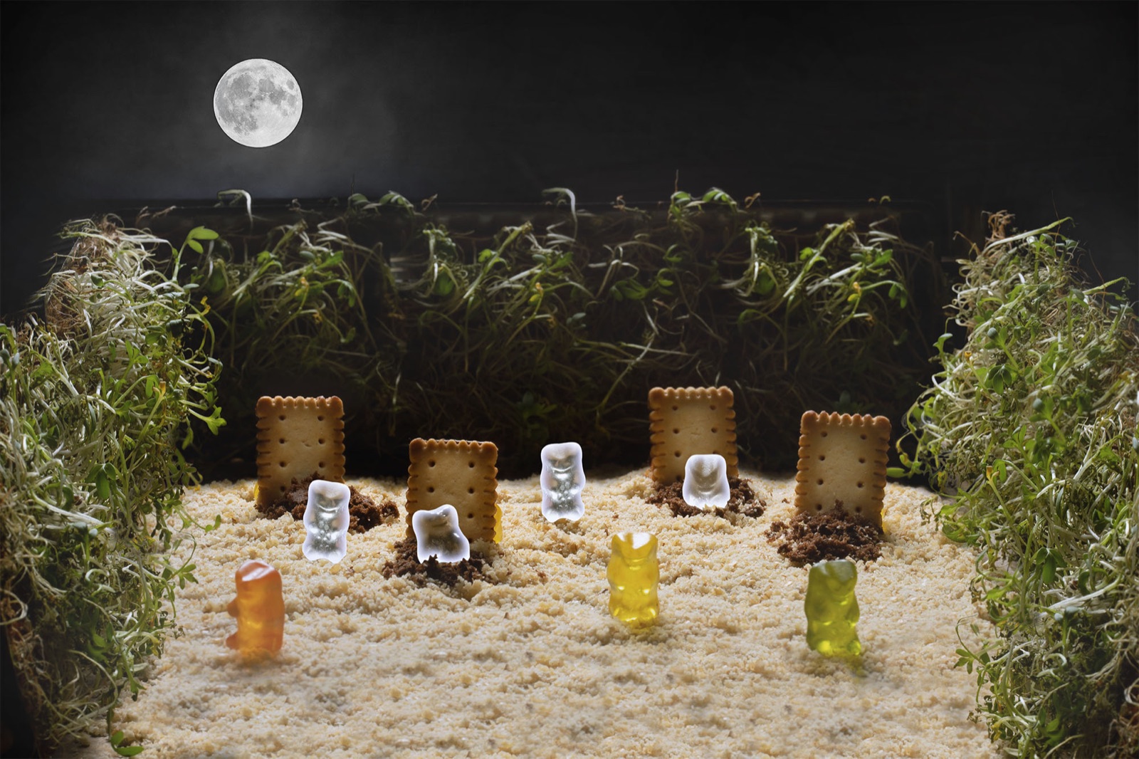 The parallel world of Haribo gummy bears.