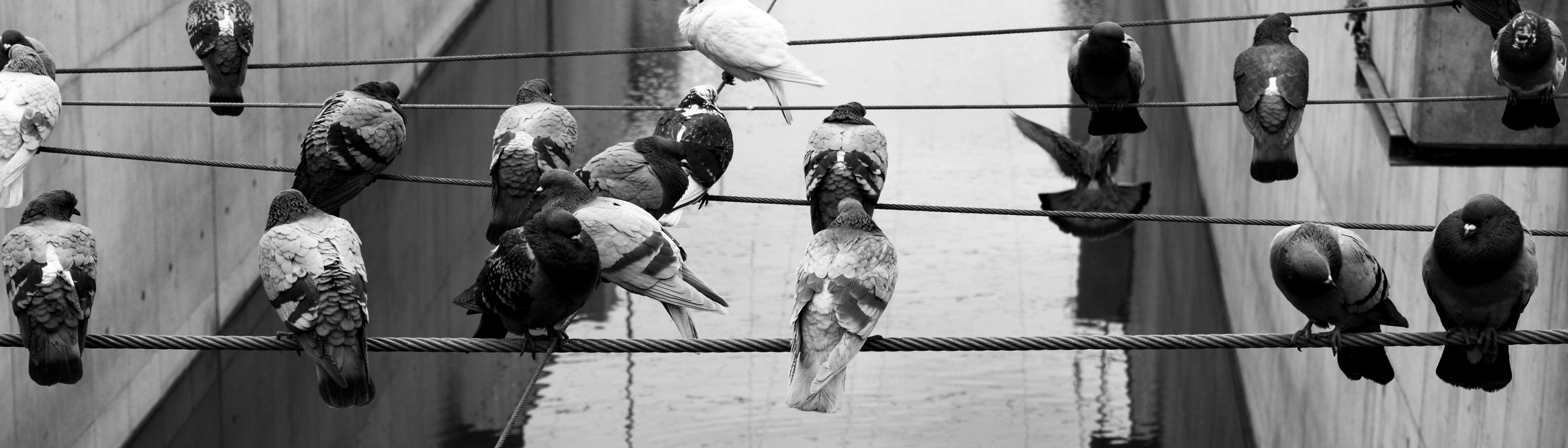 Balancing act without effort.