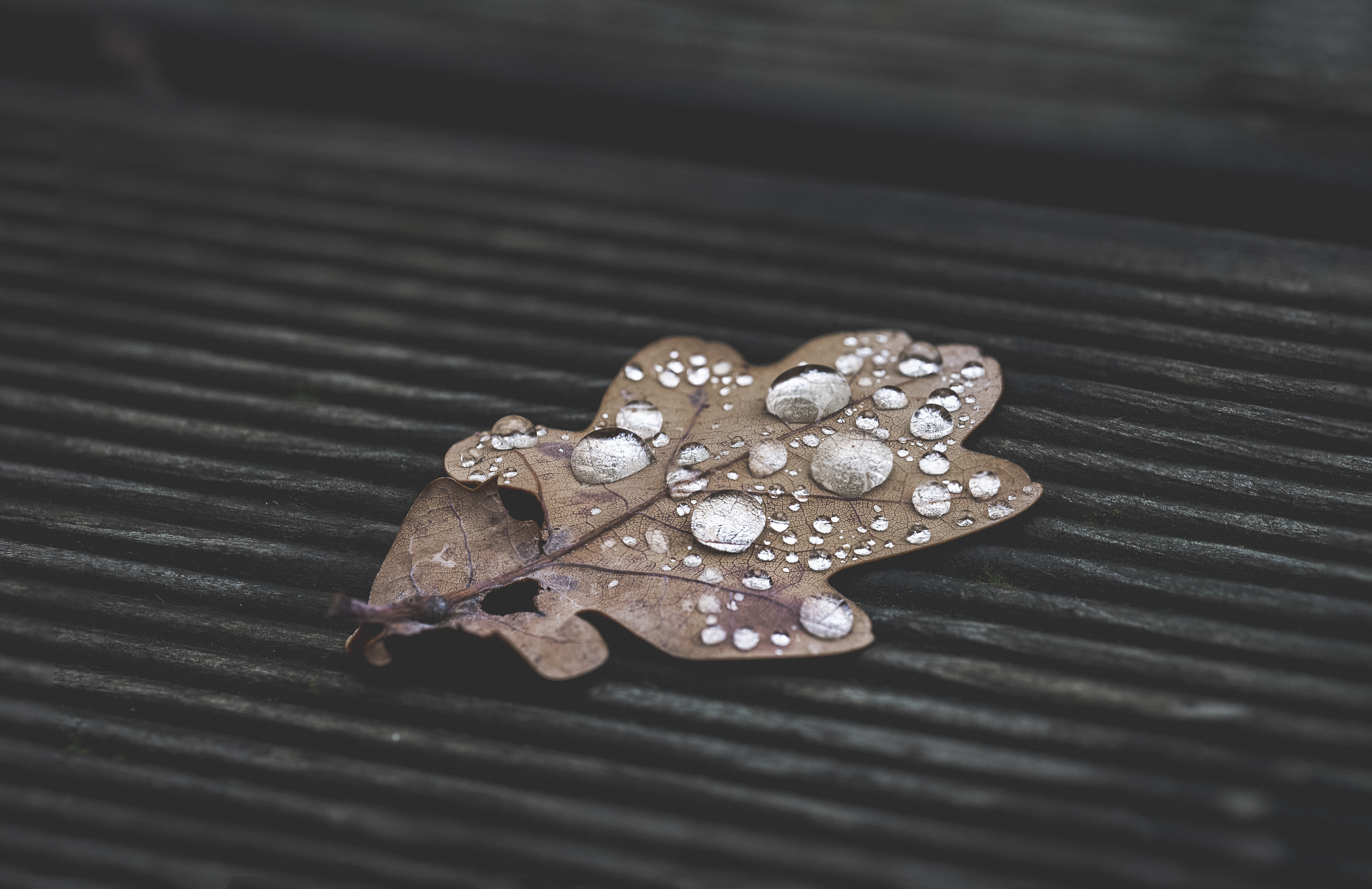 Comforting Mother Nature.